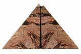 Tall, Arizona Petrified Wood Bookends - Red & Black #199132-1